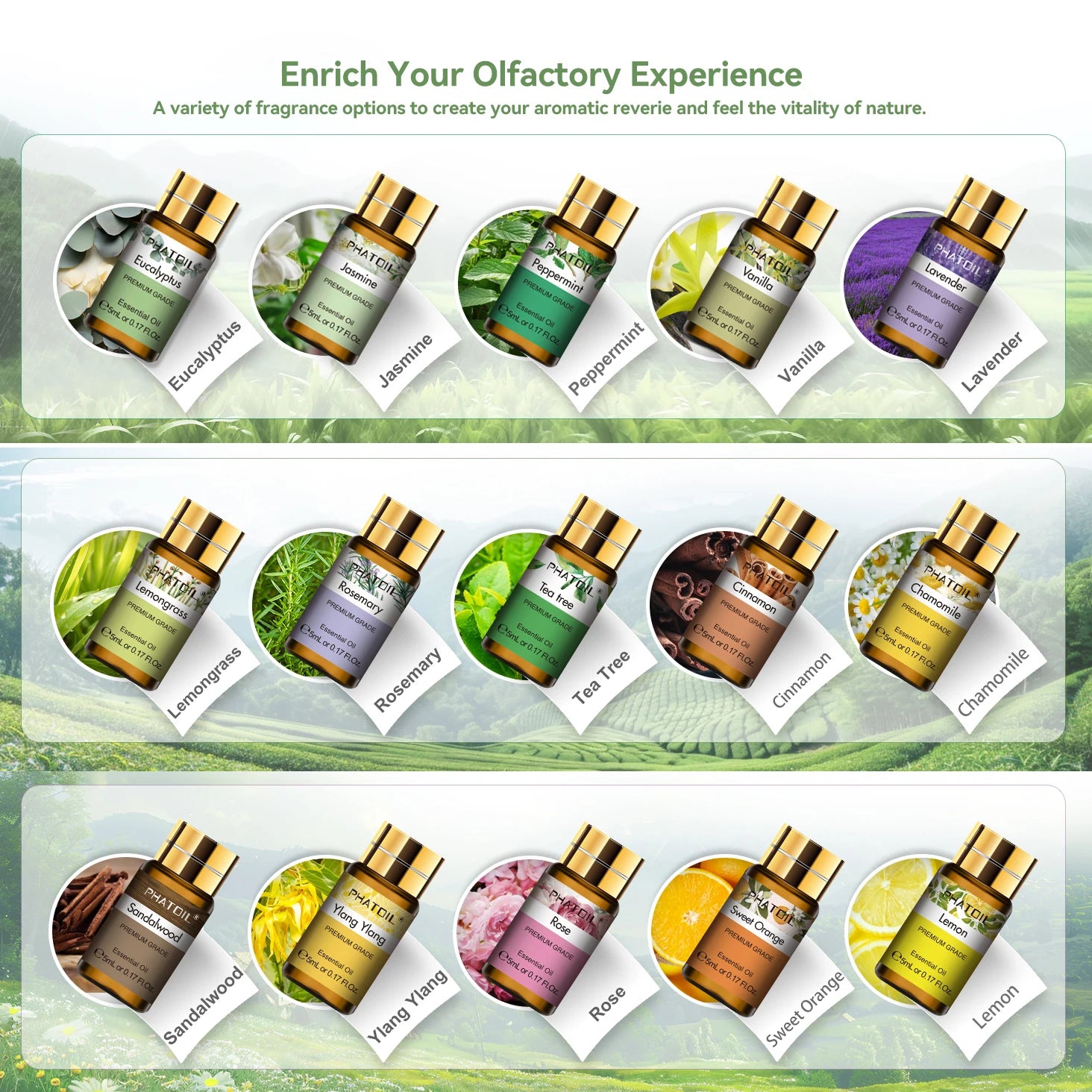 Essential Oils Set